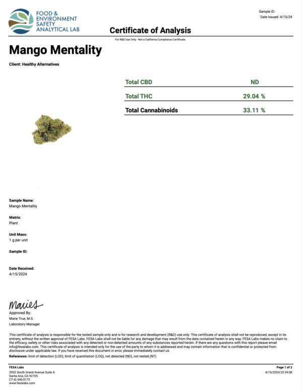 Mango Mintality Strain